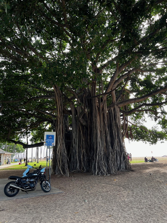 Hawaii Travel - 013