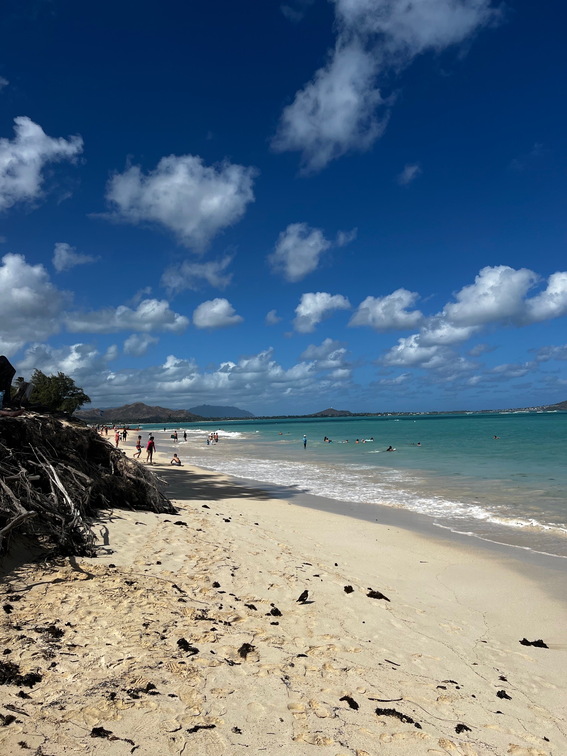 Hawaii Travel - 031