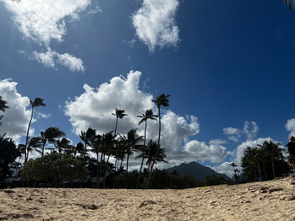 Hawaii Travel - 030