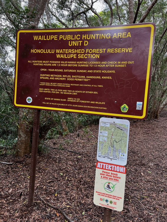 Hawaii Travel - 035
