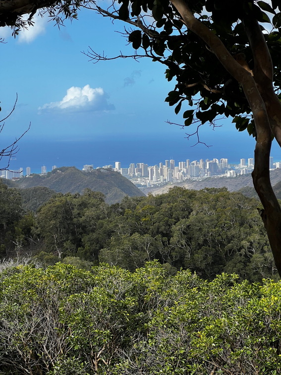 Hawaii Travel - 036