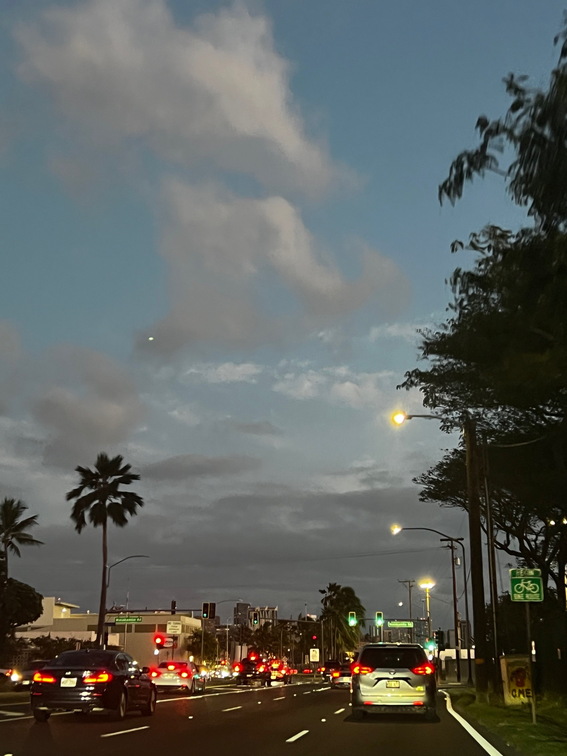 Hawaii Travel - 039