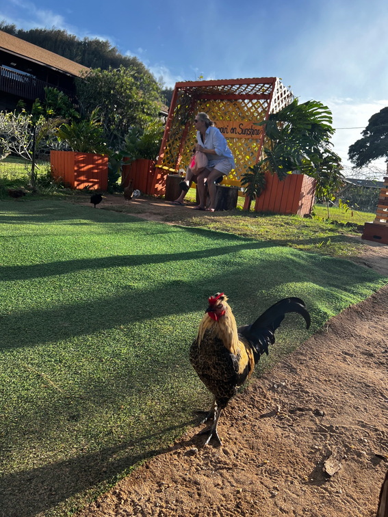 Hawaii Travel - 042