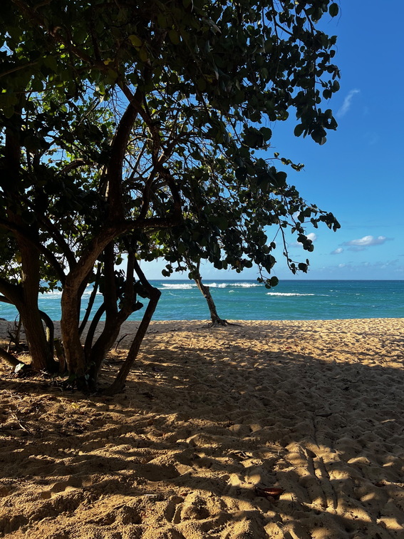 Hawaii Travel - 045