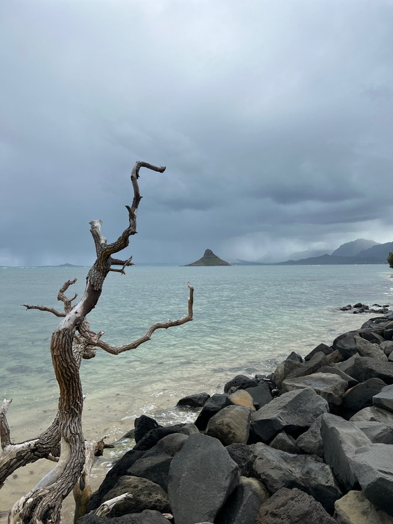 Hawaii Travel - 047