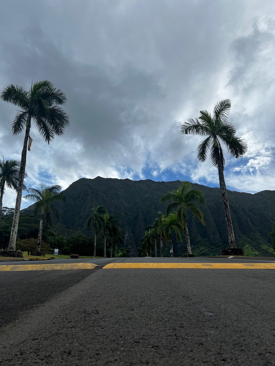 Hawaii Travel - 049