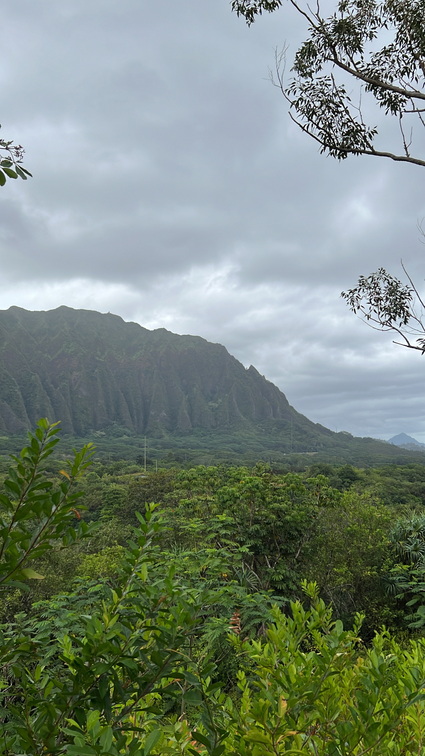 Hawaii Travel - 051