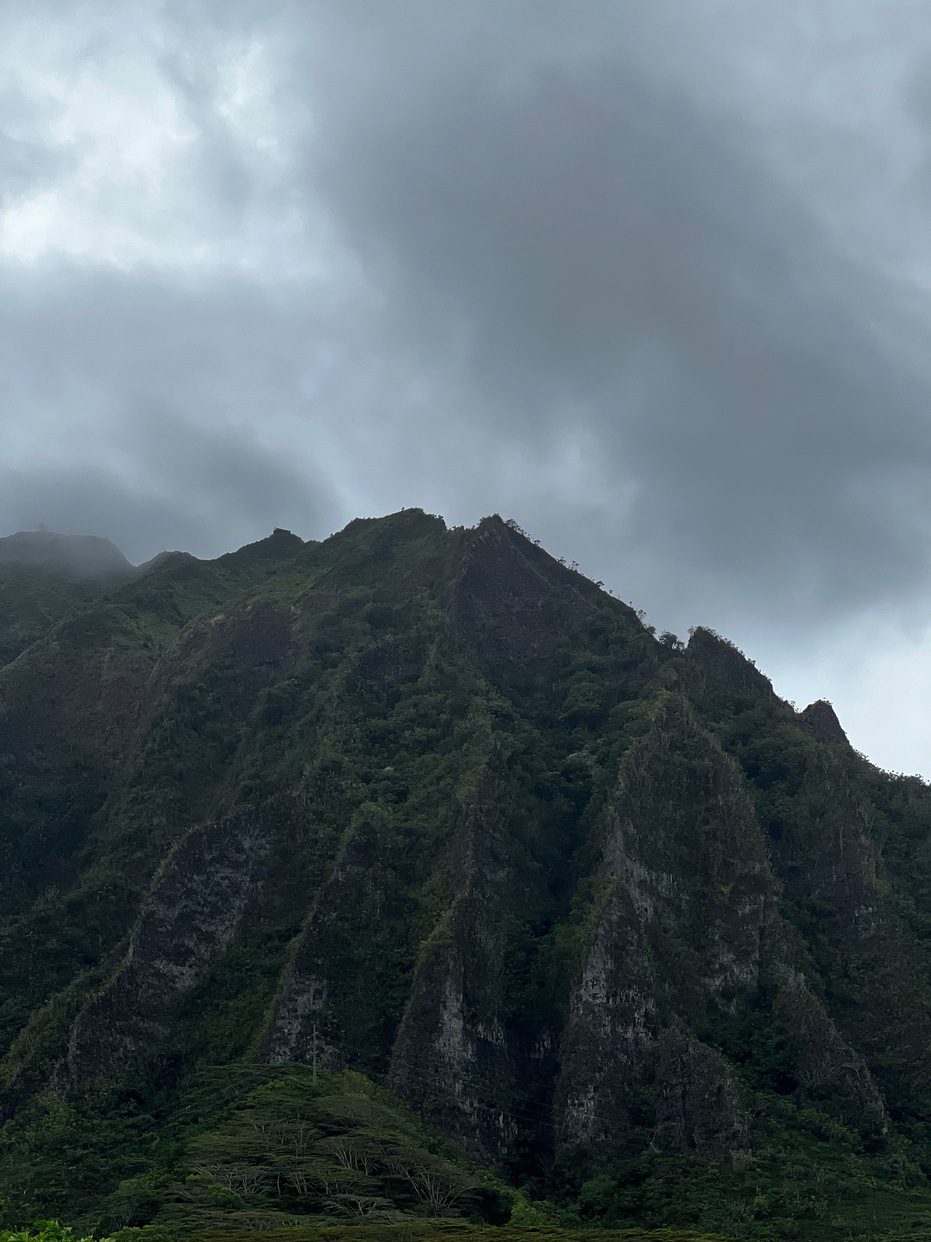 Hawaii Travel - 053