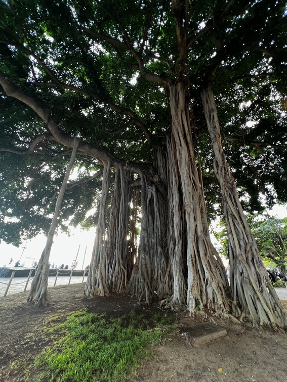 Hawaii Travel - 059