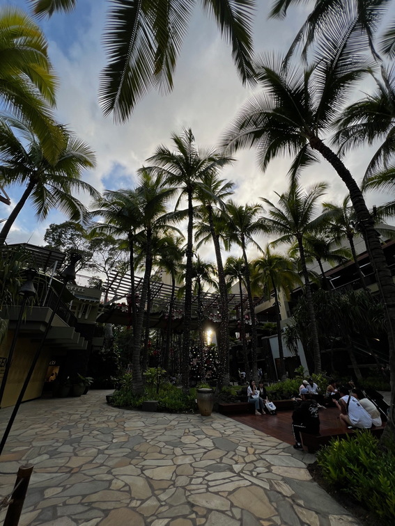Hawaii Travel - 063