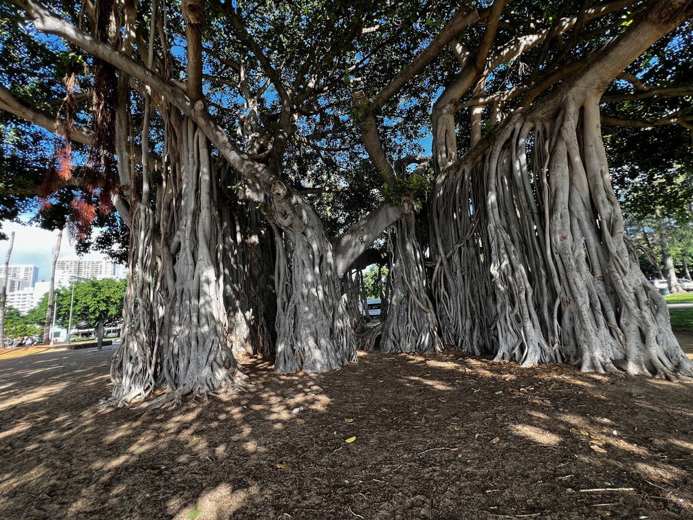 Hawaii Travel - 072