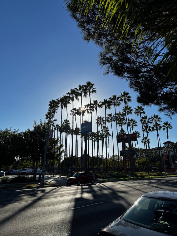Los Angeles - 047
