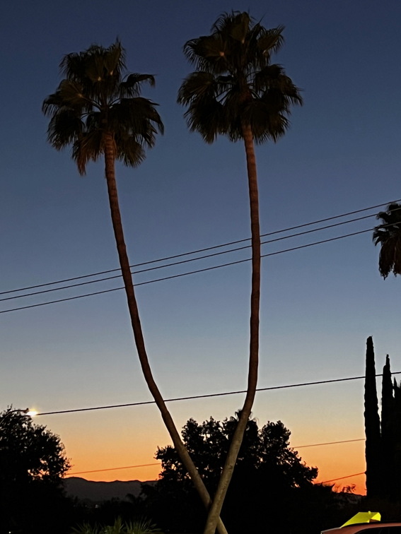 Los Angeles - 064