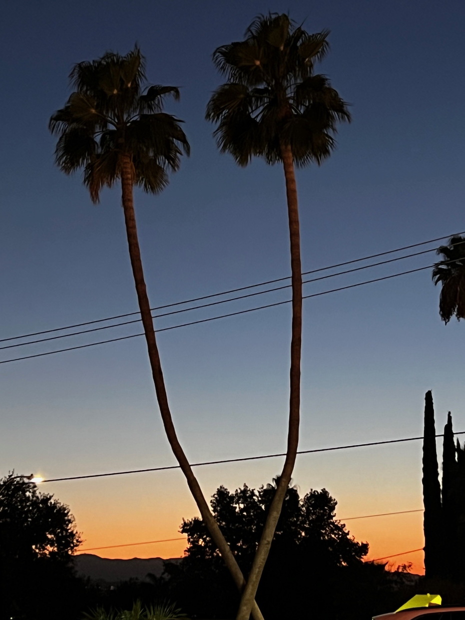 Los Angeles - 064
