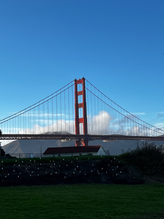 San Francisco Road Trip - 015