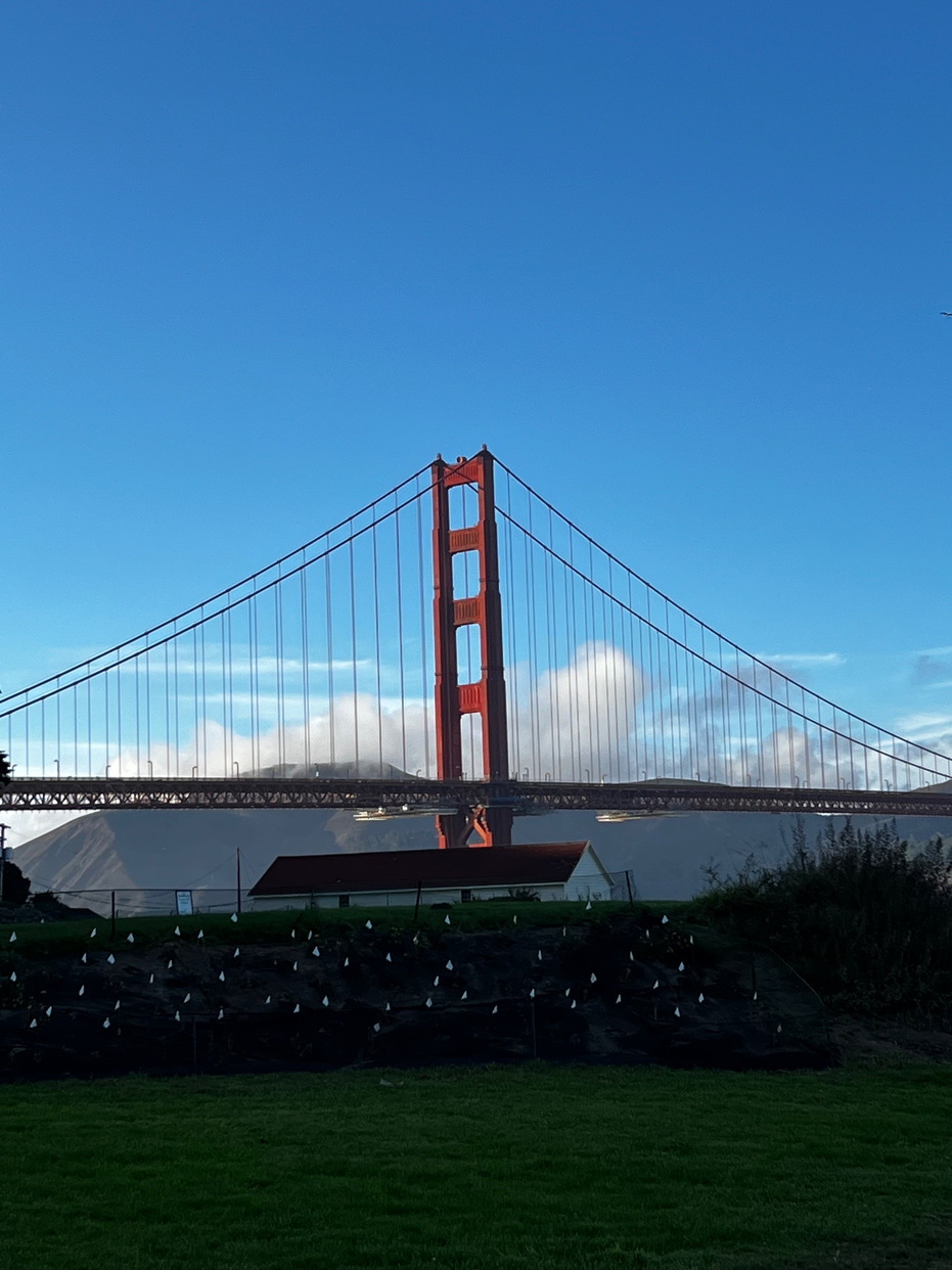 San Francisco Road Trip - 015