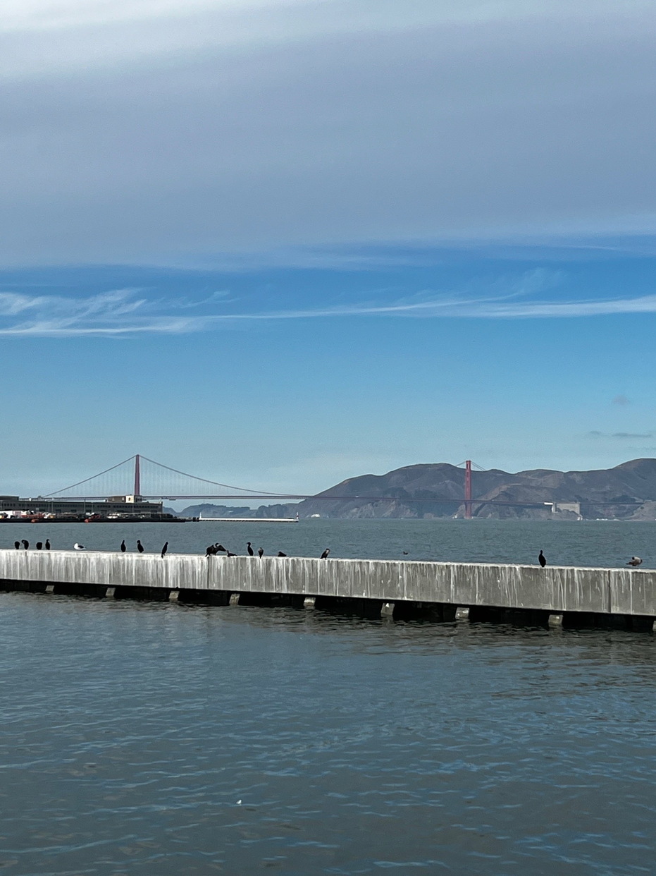 San Francisco Road Trip - 021