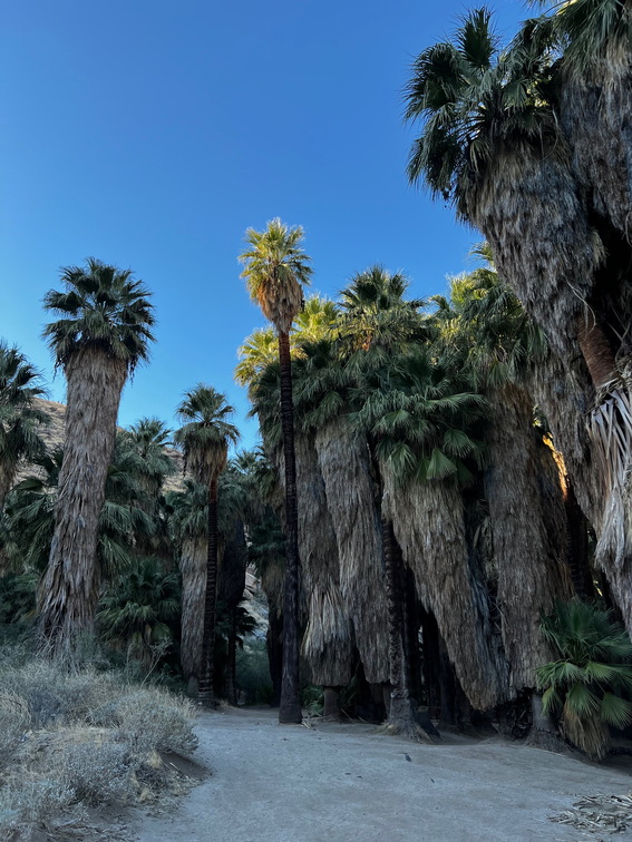 Palm Springs - 011