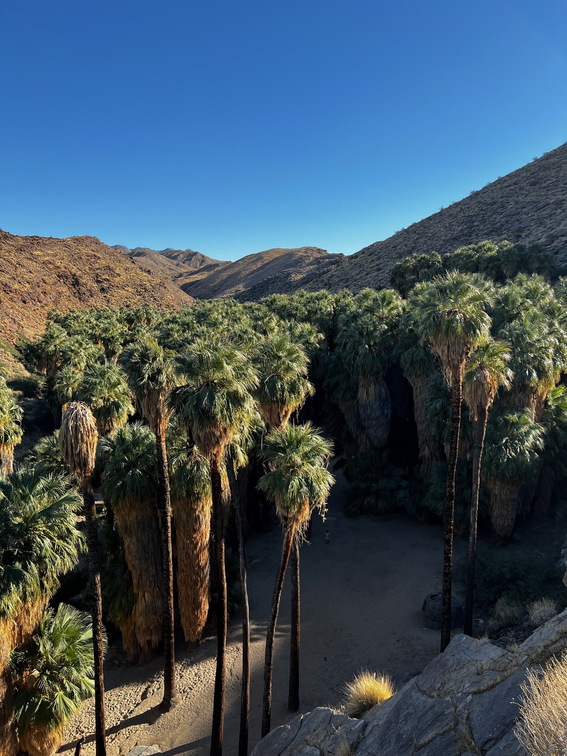 Palm Springs - 012